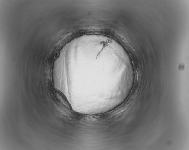 X0000090611251200708141344