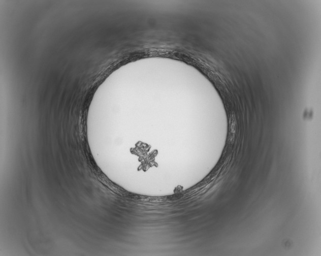 X0000090611252200708141344