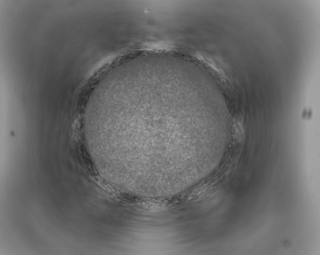 X0000090611254200708141344