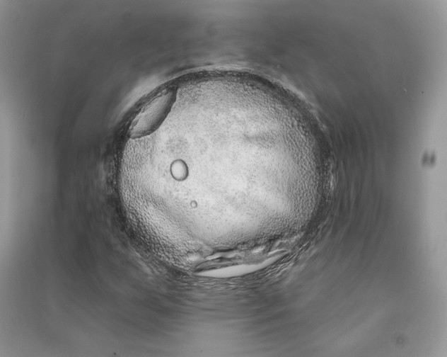 X0000090611255200708141344