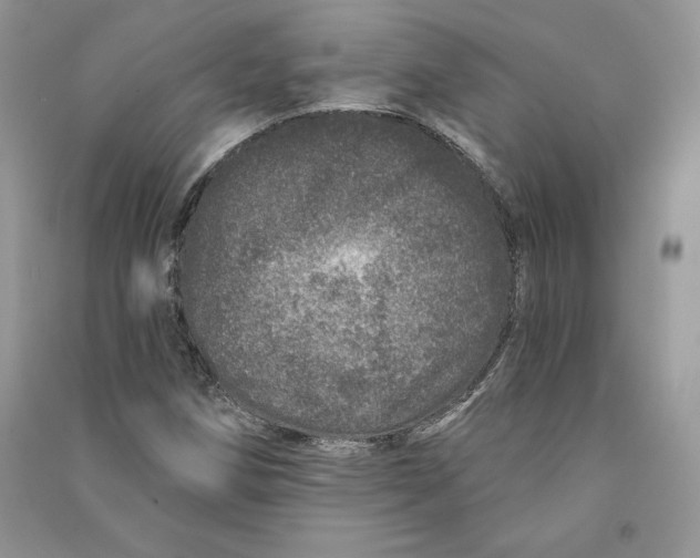 X0000090611258200708141344