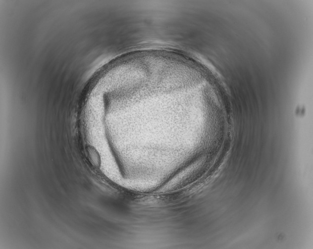 X0000090611259200708141344