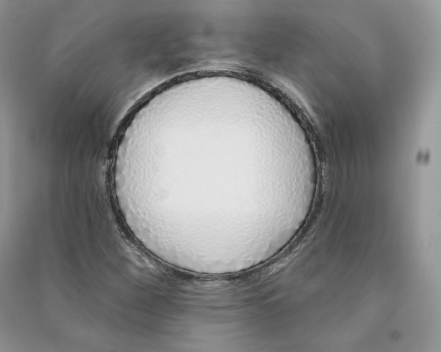 X0000090611260200708141344