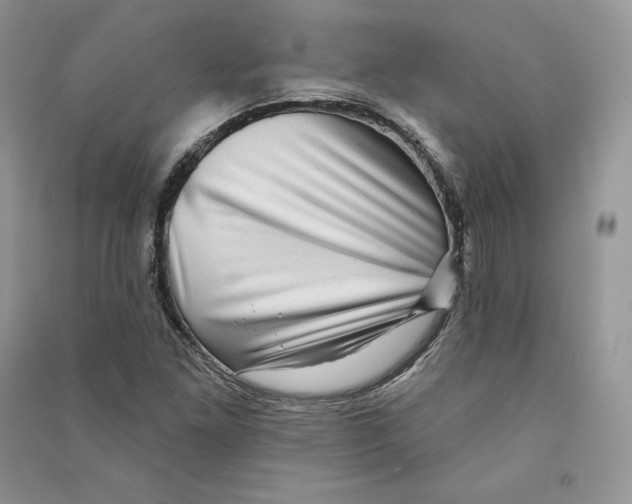 X0000090611261200708141344