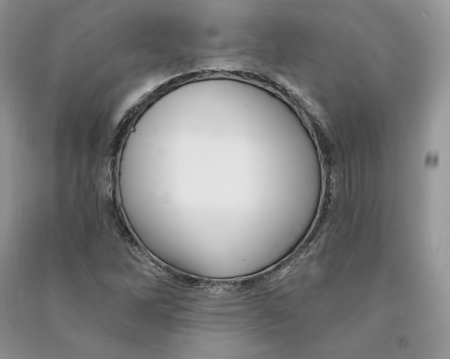 X0000090611262200708141344