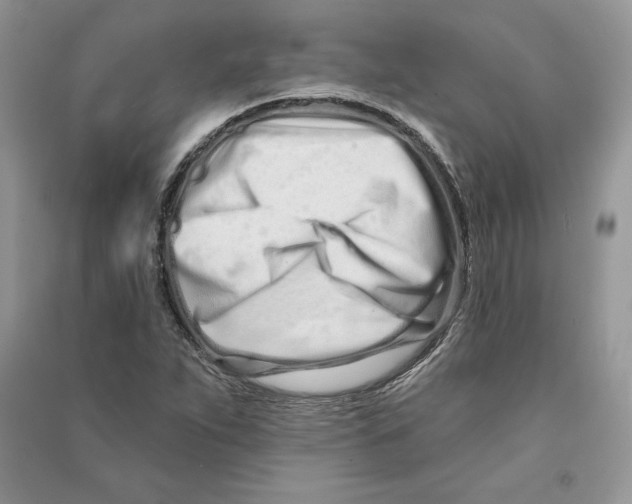 X0000090611263200708141344