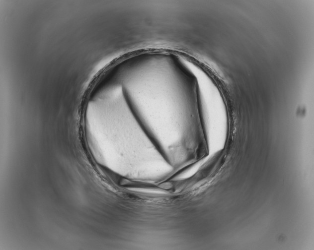 X0000090611264200708141344