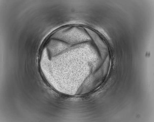 X0000090611268200708141344