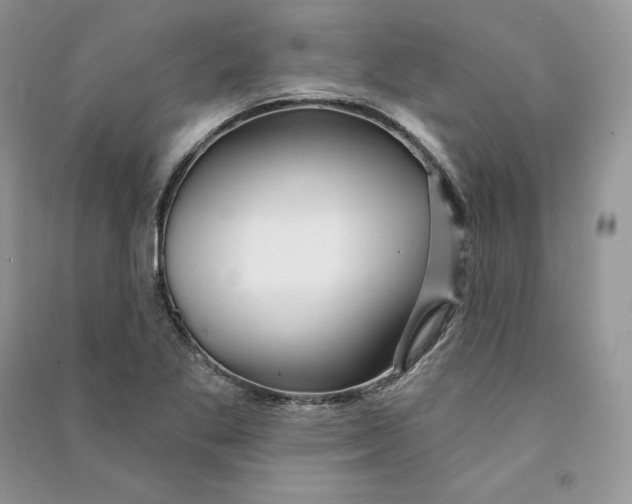 X0000090611269200708141344