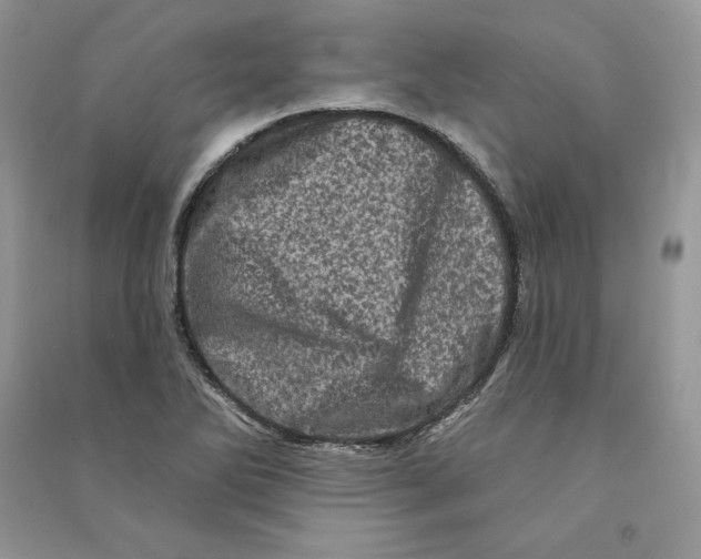 X0000090611270200708141344