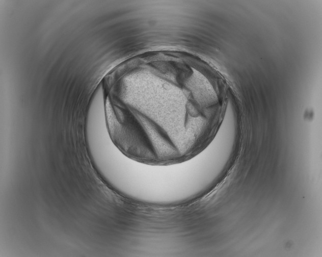 X0000090611273200708141344