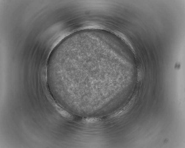 X0000090611274200708141344