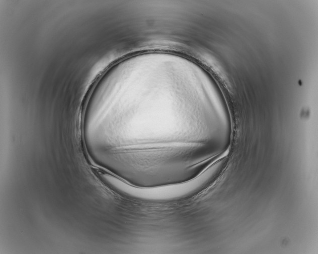 X0000090611275200708141344