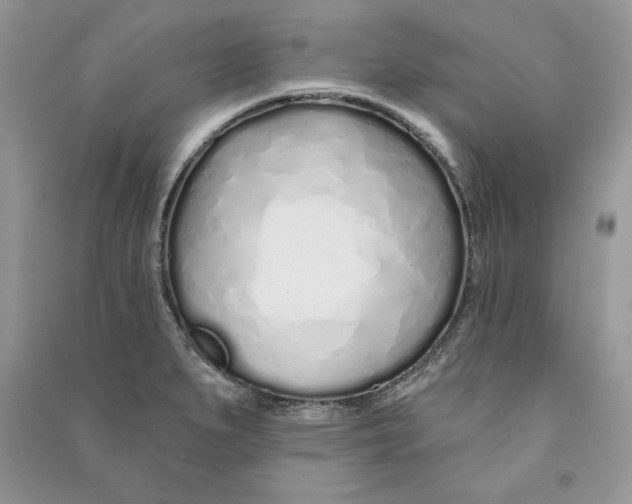 X0000090611279200708141343