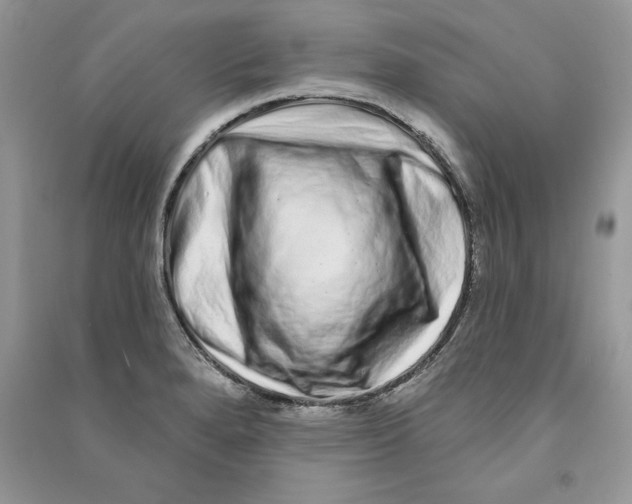 X0000090611280200708141343