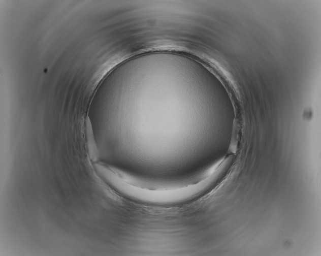 X0000090611281200708141343