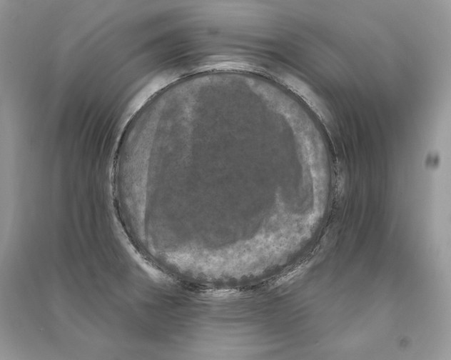 X0000090611282200708141343