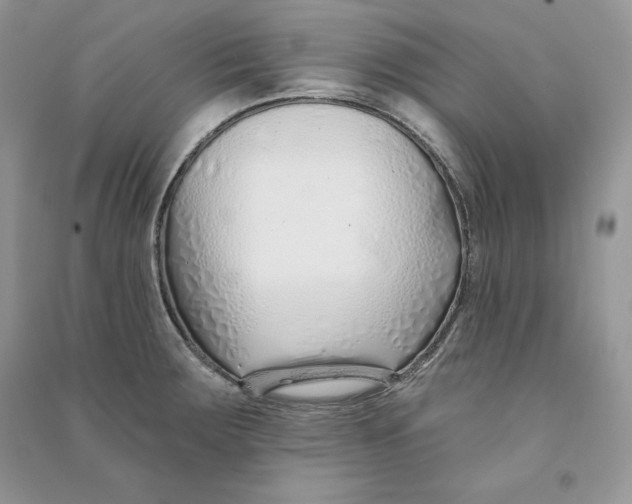 X0000090611283200708141343