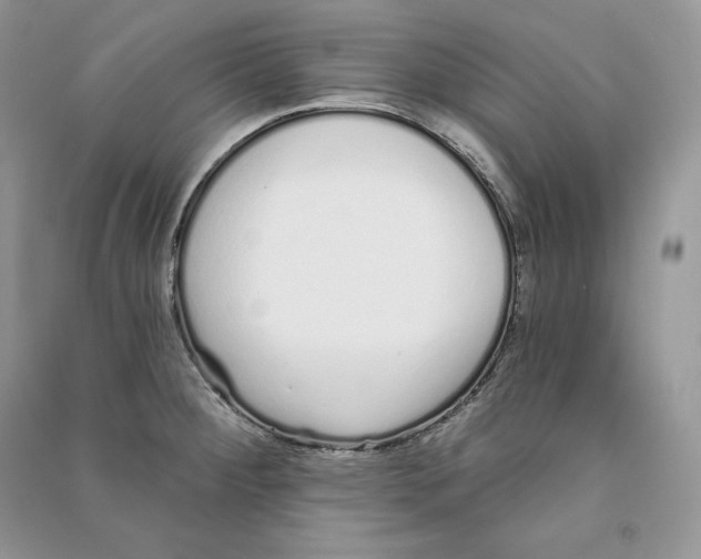 X0000090611284200708141343