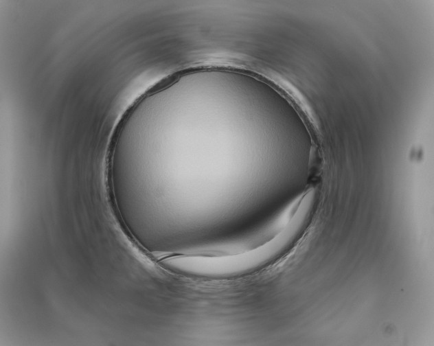 X0000090611285200708141343