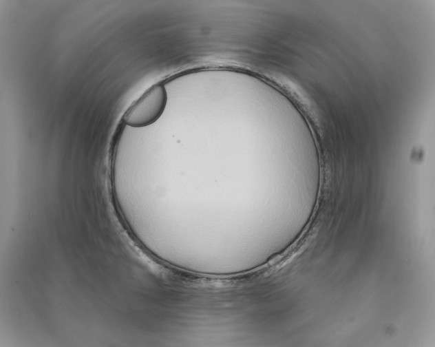 X0000090611286200708141343