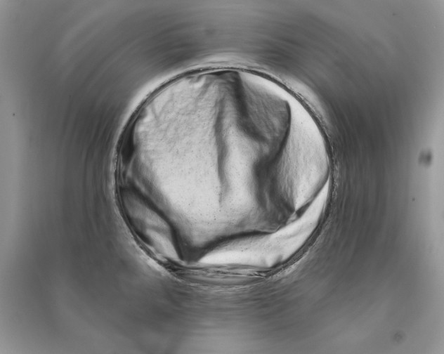 X0000090611288200708141343