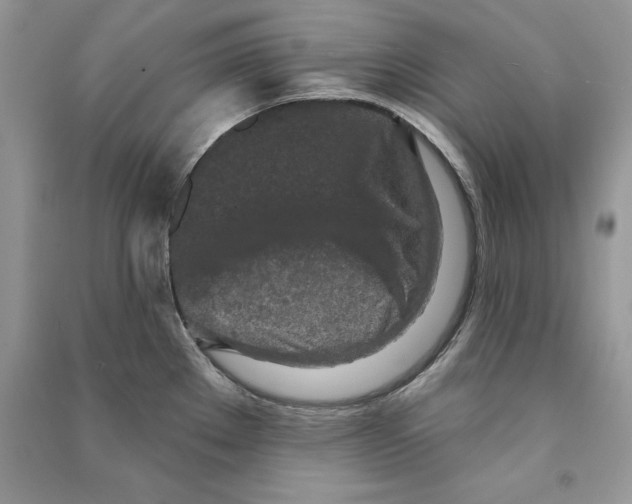 X0000090611289200708141343