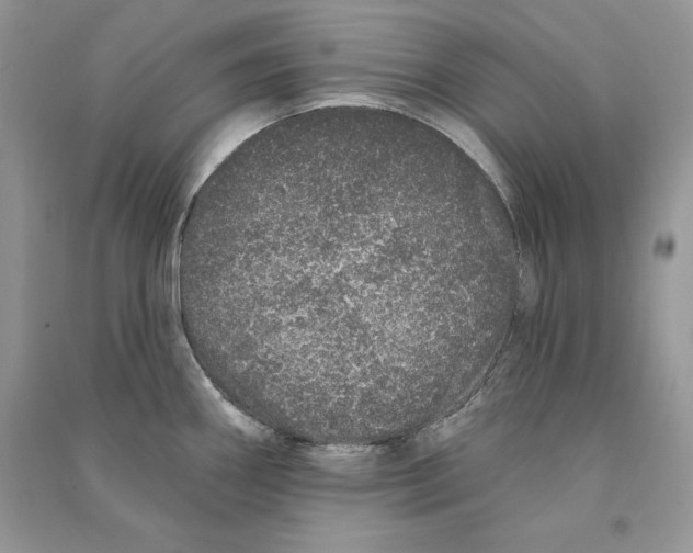 X0000090611290200708141343