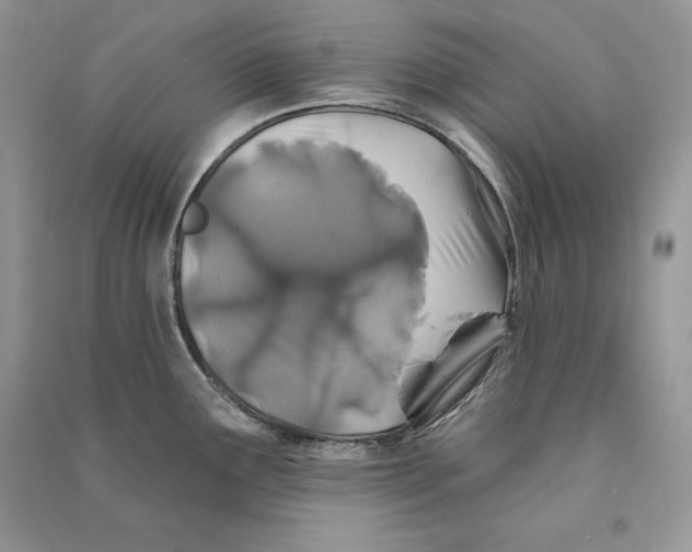 X0000090611291200708141343