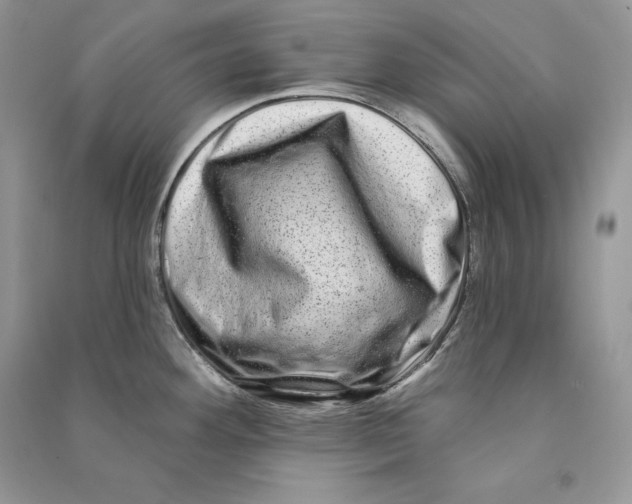 X0000090611292200708141343