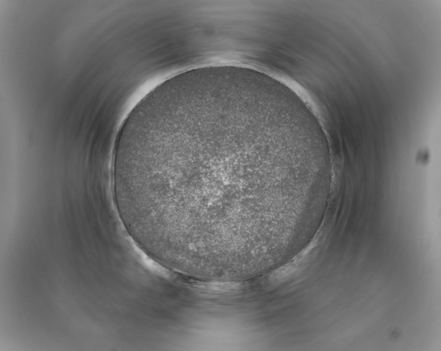 X0000090611294200708141343