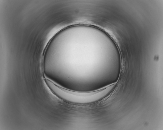 X0000090611295200708141343