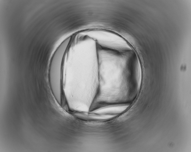 X0000090611296200708141343