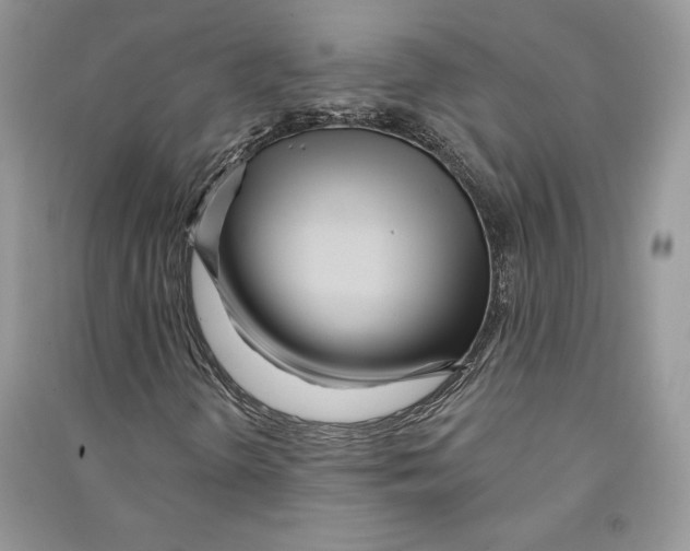 X0000090611298200708141343