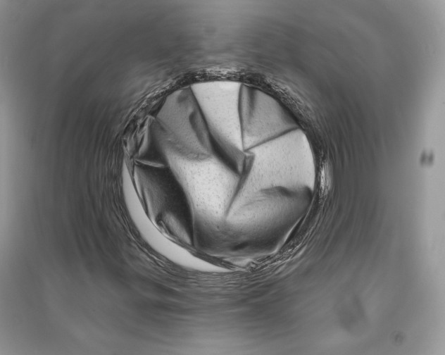 X0000090611299200708141343