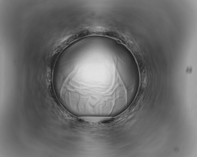 X0000090611301200708141343