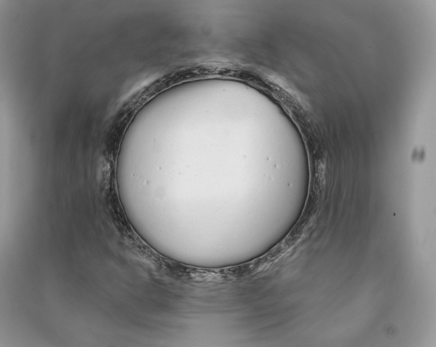 X0000090611302200708141343