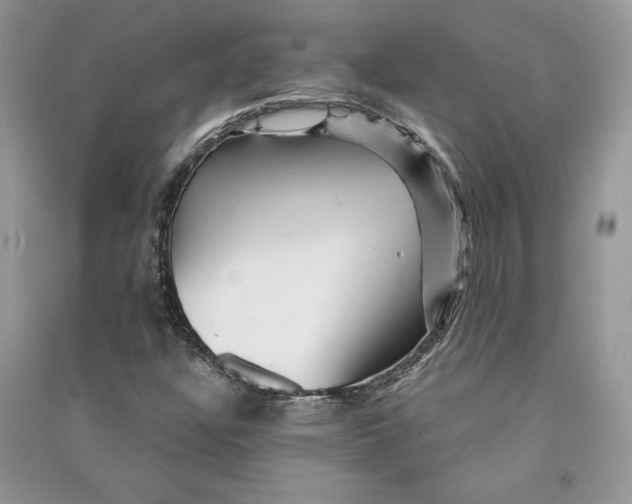 X0000090611304200708141343