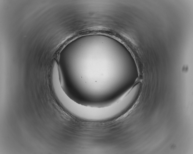 X0000090611305200708141343