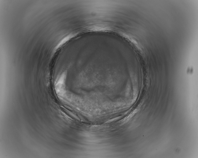 X0000090611306200708141343