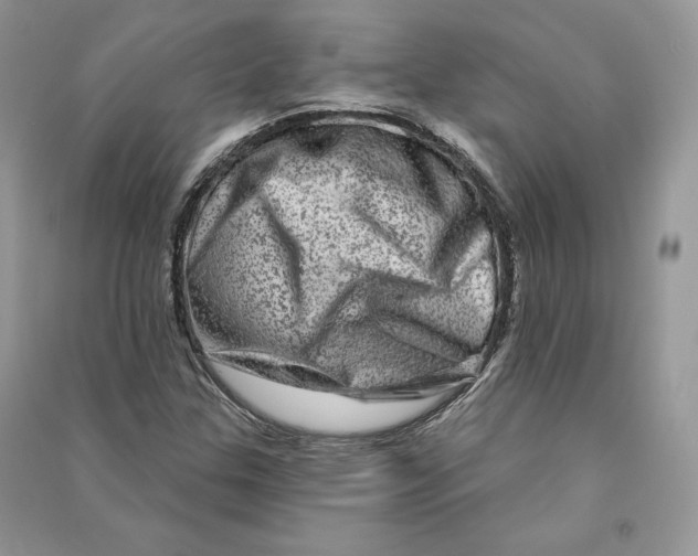 X0000090611307200708141343