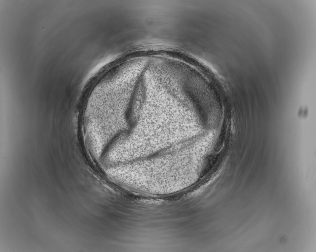 X0000090611309200708141343