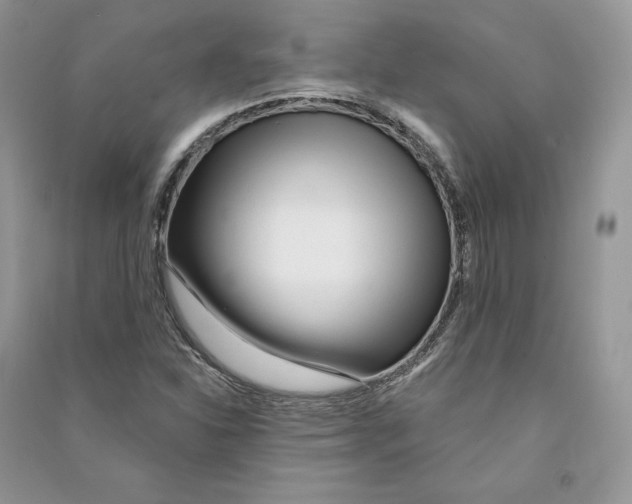 X0000090611310200708141343