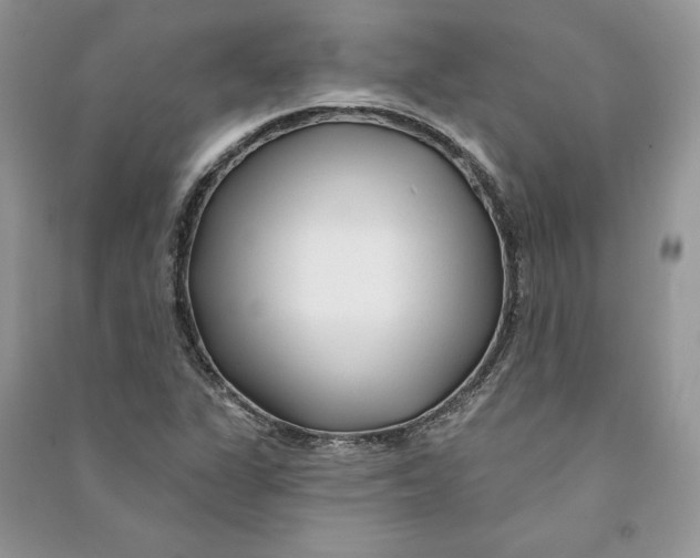 X0000090611311200708141343