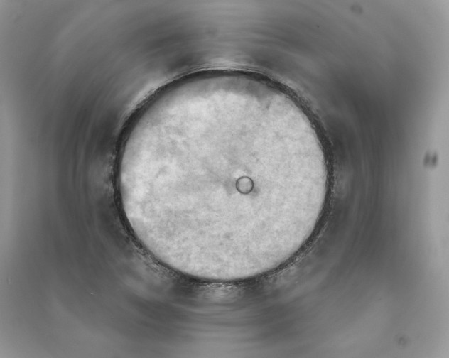 X0000090611314200708141343