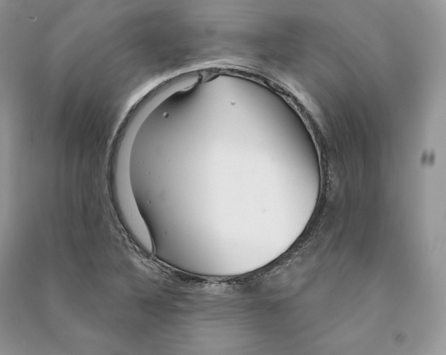 X0000090611316200708141343