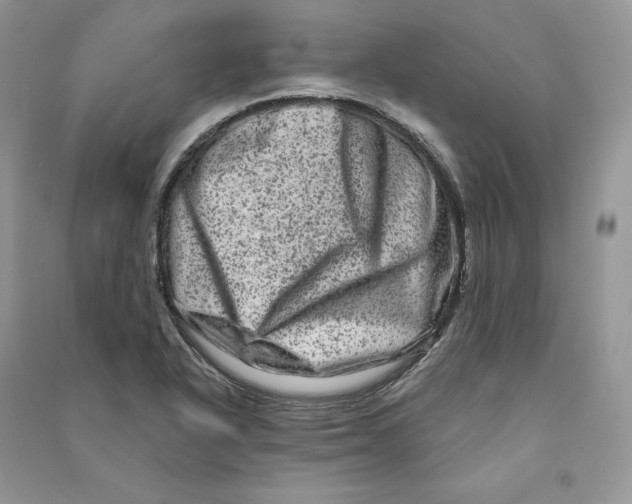 X0000090611318200708141343