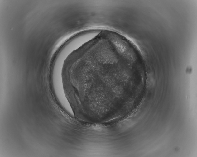 X0000090611319200708141343