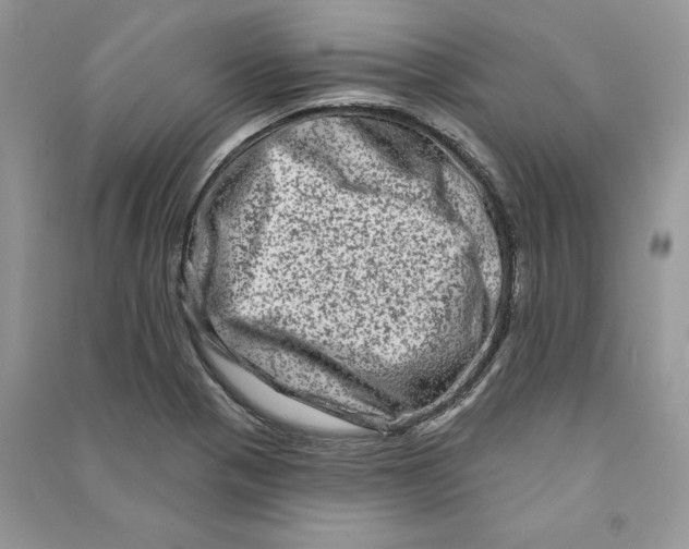 X0000090611321200708141343