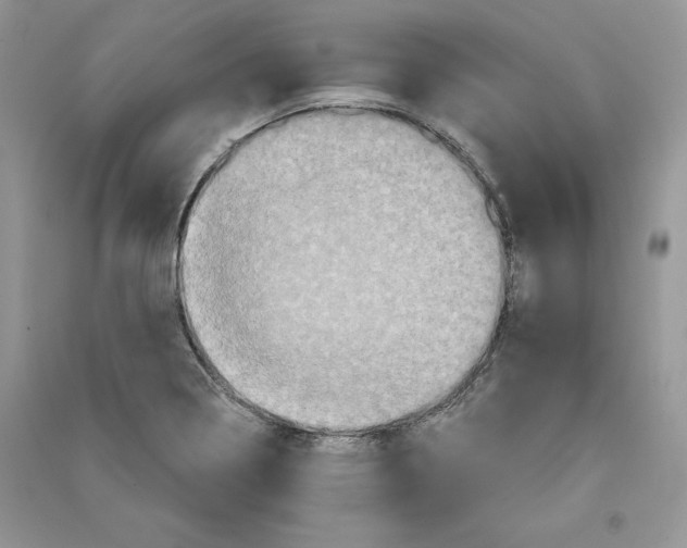 X0000090611322200708141343